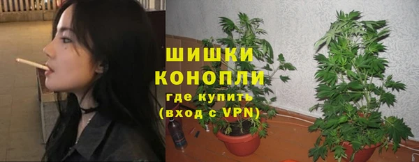 тгк Бородино