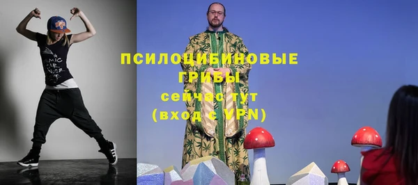 spice Бугульма