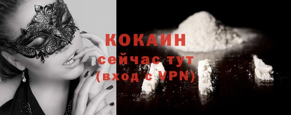 таблы Горняк