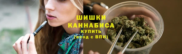 молекула духа Богородск