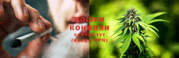 ешки Бронницы