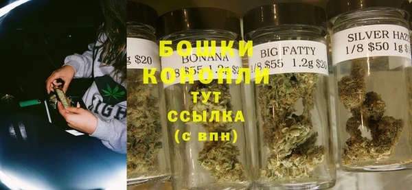ешки Бронницы