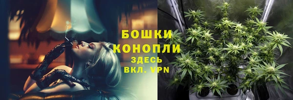 spice Бугульма
